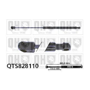QTS828110 QUINTON HAZELL