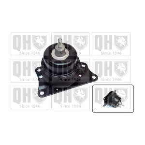 QUINTON HAZELL EM4459
