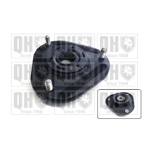 QUINTON HAZELL EMA4895