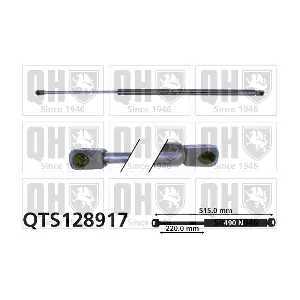 QUINTON HAZELL QTS128917