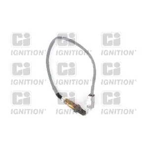 XLOS1561 QUINTON HAZELL