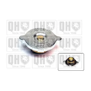 QUINTON HAZELL FC60