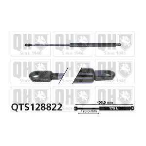 QTS128822 QUINTON HAZELL
