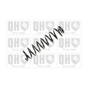 QUINTON HAZELL QCS8234