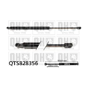QTS828356 QUINTON HAZELL