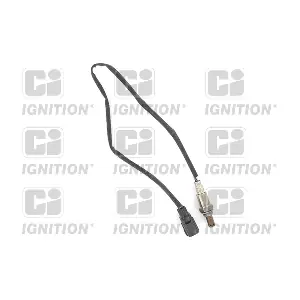QUINTON HAZELL XLOS1494