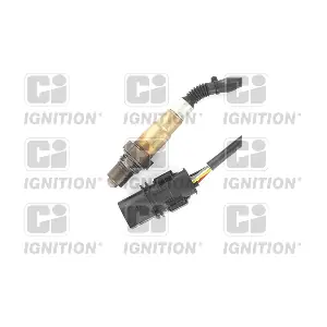 XLOS1783 QUINTON HAZELL
