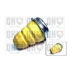 QUINTON HAZELL EM4729