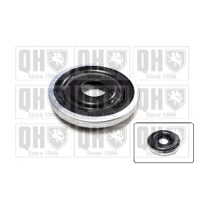 QUINTON HAZELL QAM112