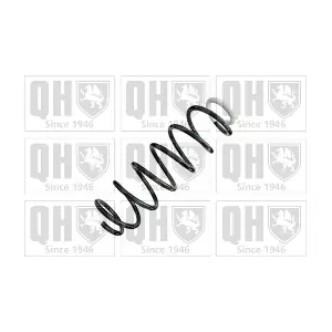 QCS8729 QUINTON HAZELL