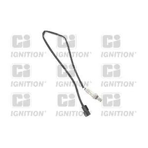 XLOS1715 QUINTON HAZELL