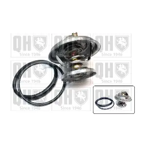 QUINTON HAZELL QTH295K
