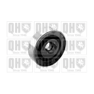 QUINTON HAZELL QTT301