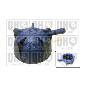 QUINTON HAZELL FC576