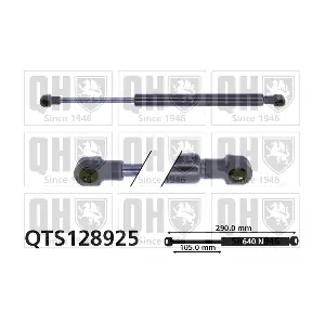 QTS128925 QUINTON HAZELL