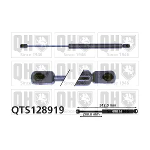 QTS128919 QUINTON HAZELL
