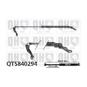 QTS840294 QUINTON HAZELL