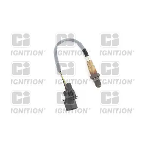 XLOS1741 QUINTON HAZELL