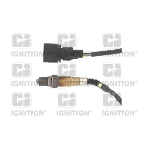 XLOS1827 QUINTON HAZELL