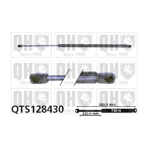 QTS128430 QUINTON HAZELL