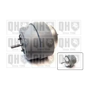 QUINTON HAZELL EM4874