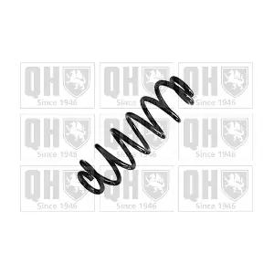 QCS9213 QUINTON HAZELL