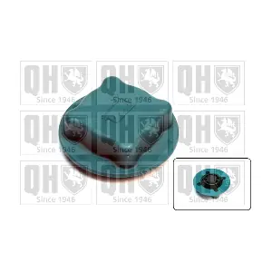 QUINTON HAZELL FC505