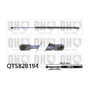 QTS828194 QUINTON HAZELL