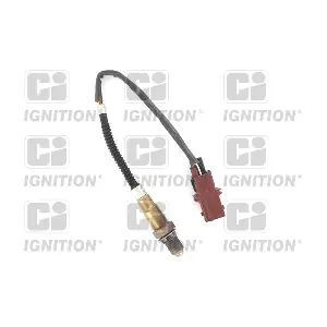 XLOS1826 QUINTON HAZELL