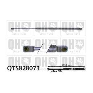 QTS828073 QUINTON HAZELL