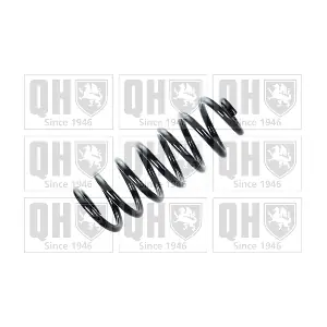 QUINTON HAZELL QCS5695