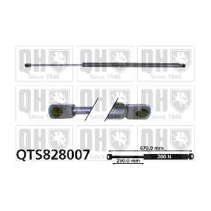 QTS828007 QUINTON HAZELL