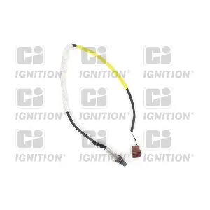 XLOS1726 QUINTON HAZELL