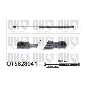 QUINTON HAZELL QTS828041