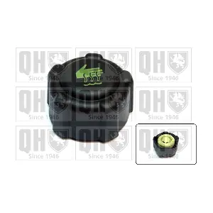 QUINTON HAZELL FC516
