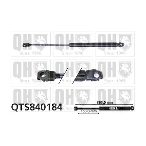 QTS840184 QUINTON HAZELL