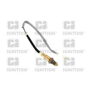 QUINTON HAZELL XLOS1384