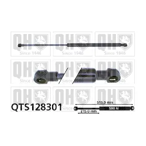 QUINTON HAZELL QTS128301