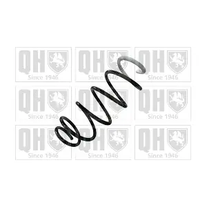 QCS8699 QUINTON HAZELL
