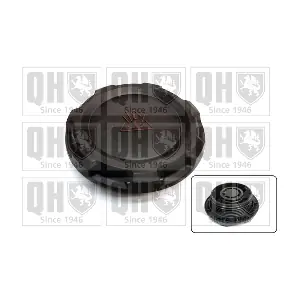 QUINTON HAZELL FC571