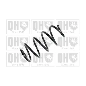 QUINTON HAZELL QCS5311