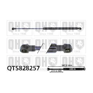 QTS828257 QUINTON HAZELL