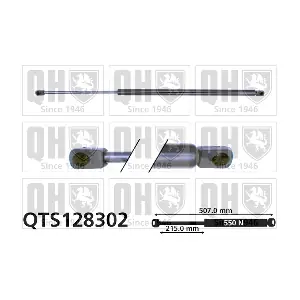 QUINTON HAZELL QTS128302