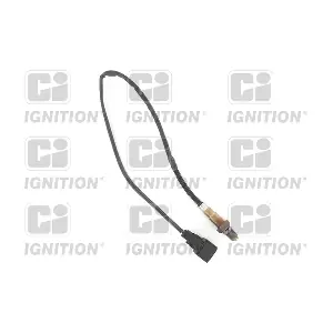 XLOS1804 QUINTON HAZELL
