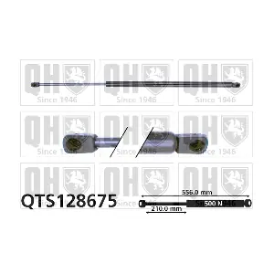QTS128675 QUINTON HAZELL