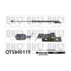 QTS840119 QUINTON HAZELL