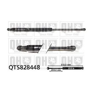 QUINTON HAZELL QTS828448