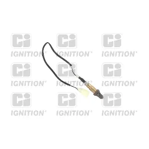 QUINTON HAZELL XLOS1592