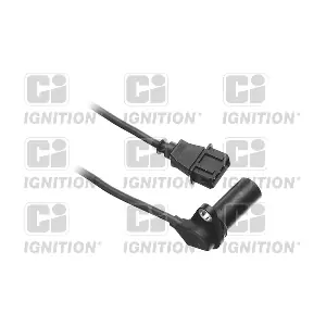 QUINTON HAZELL XREV398