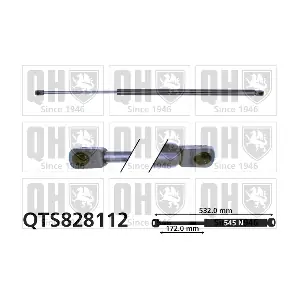 QTS828112 QUINTON HAZELL